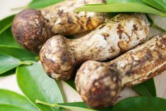 四川巴塘松茸-[年產量200噸左右]